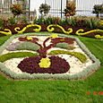 Parterre du Jardin des Plantes avant les travaux